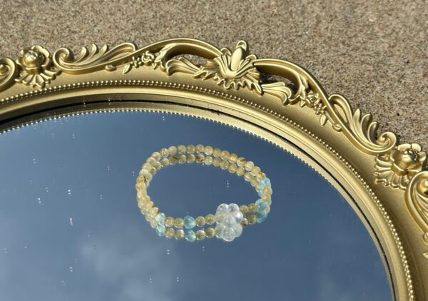 晨曦之花 Morning Bloom